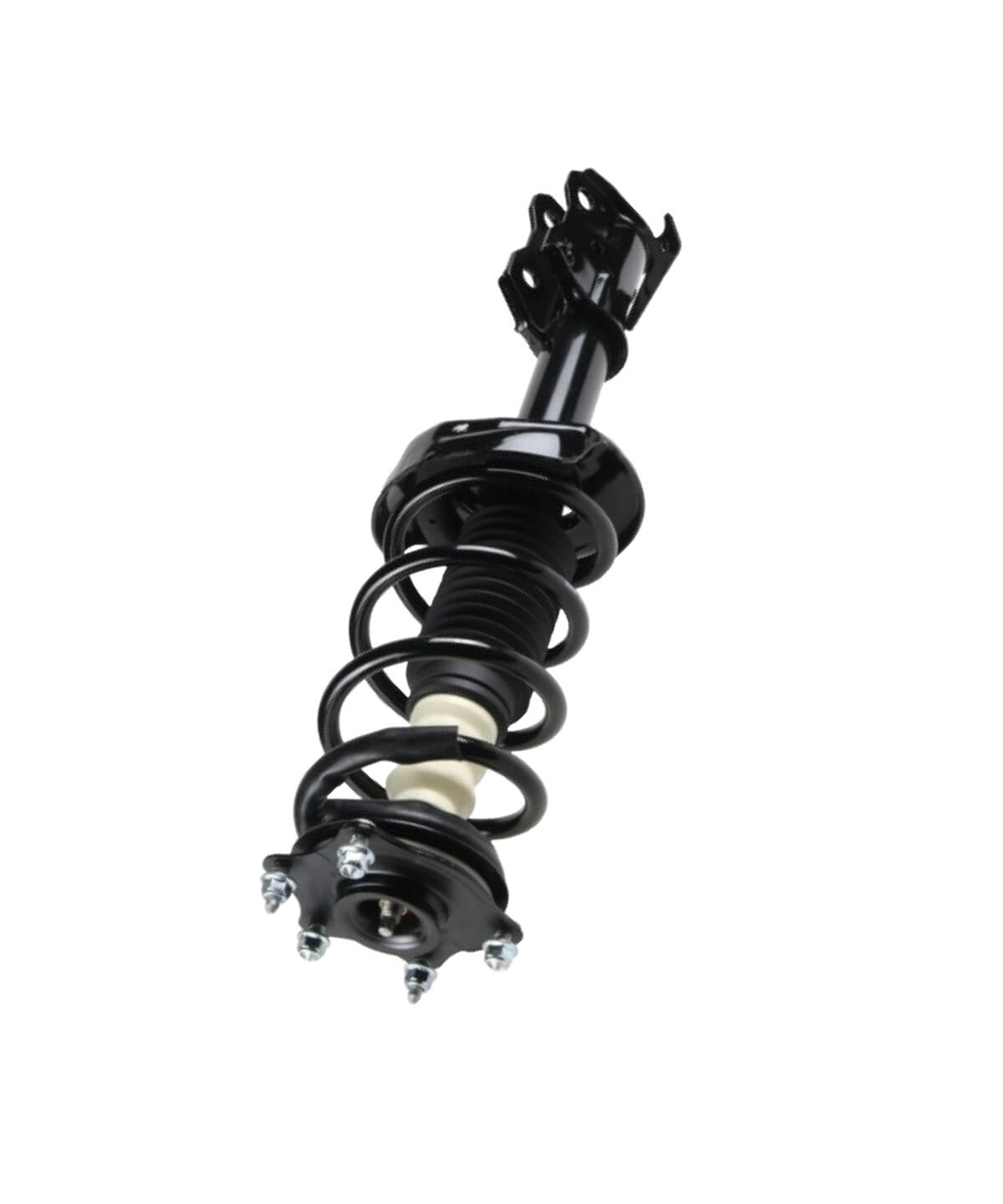 Serpentine Belt